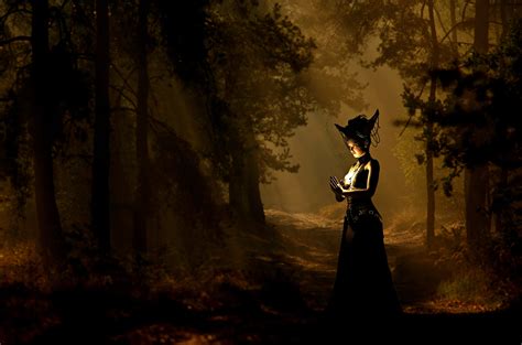 Searching for the Witch of Woodland: Uncovering the Truth